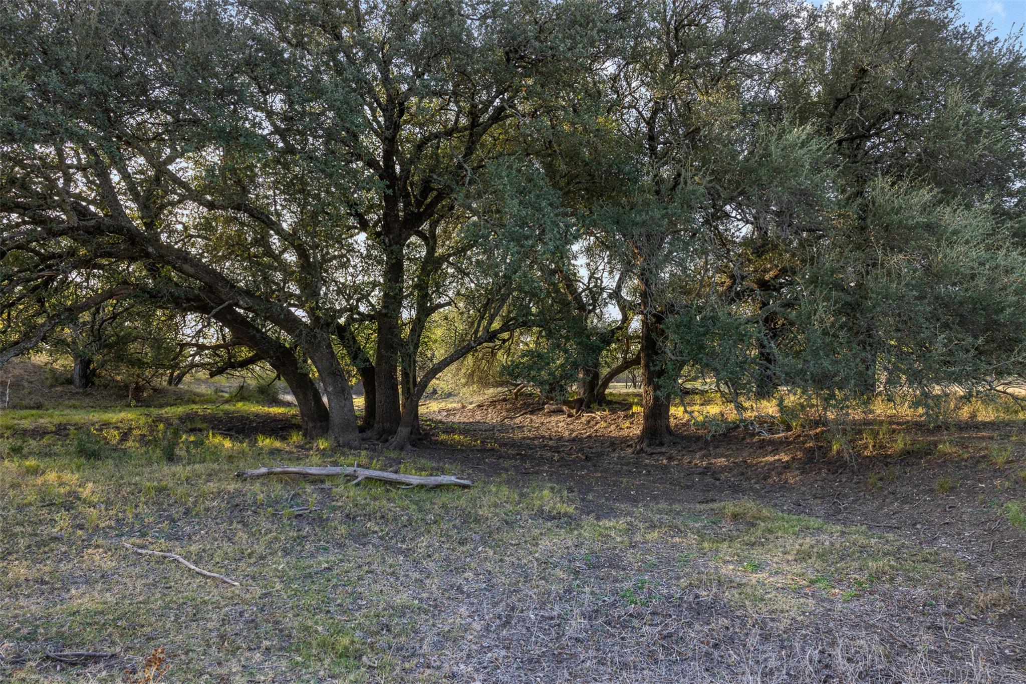 Tract 3 TBD CR 424, Rochelle, TX 76872