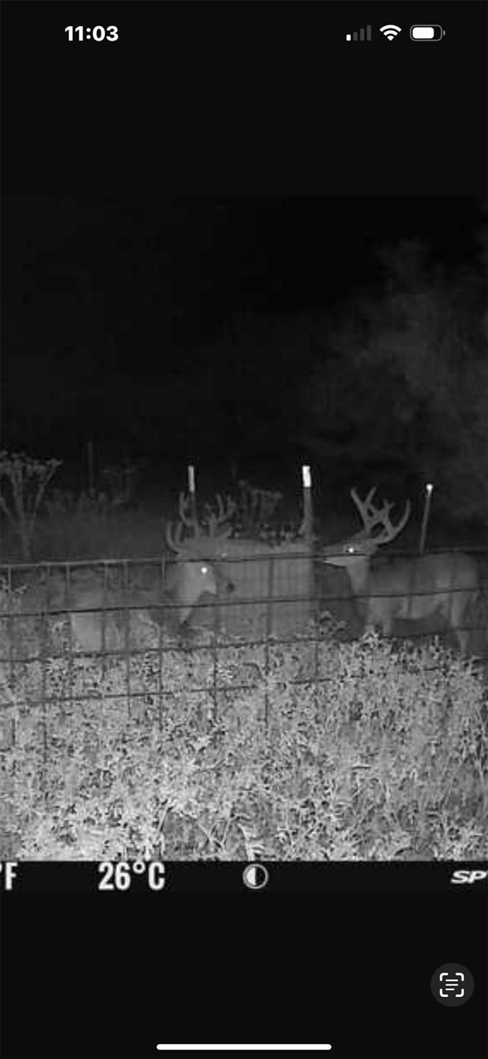 Tract 3 TBD CR 424, Rochelle, TX 76872