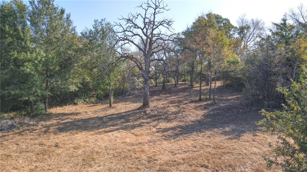 (Tract 2) Green Hill Road, Caldwell, TX 77836