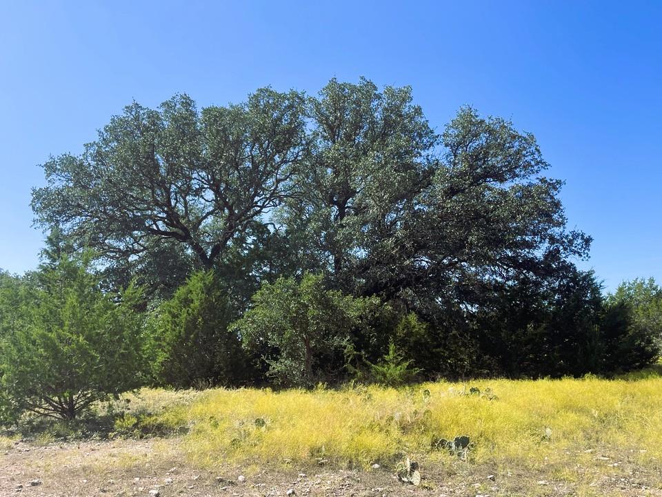 1276 Fm 574 W, Mullin, TX 76864