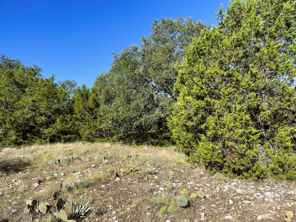 1276 Fm 574 W, Mullin, TX 76864