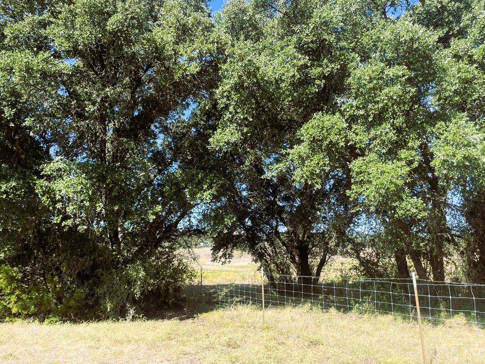 1276 Fm 574 W, Mullin, TX 76864