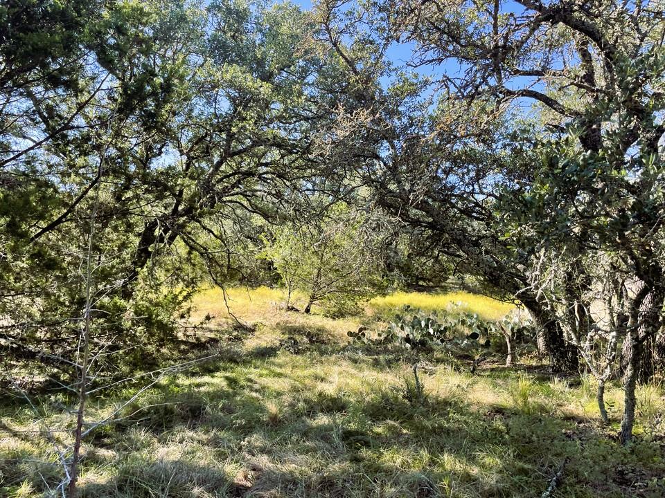 1276 Fm 574 W, Mullin, TX 76864