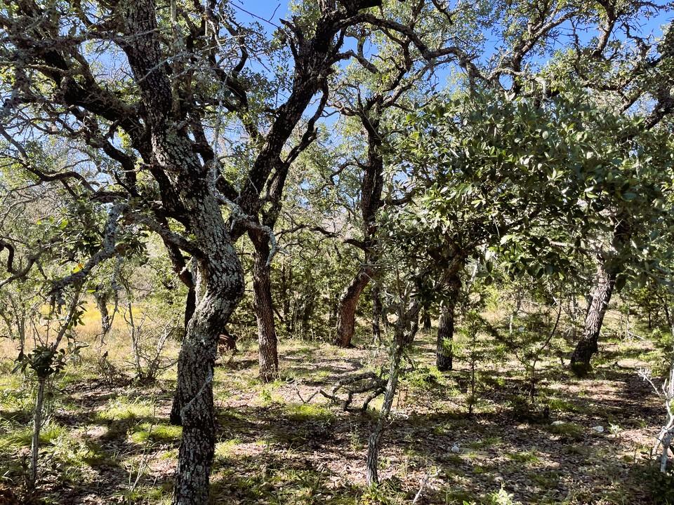 1276 Fm 574 W, Mullin, TX 76864