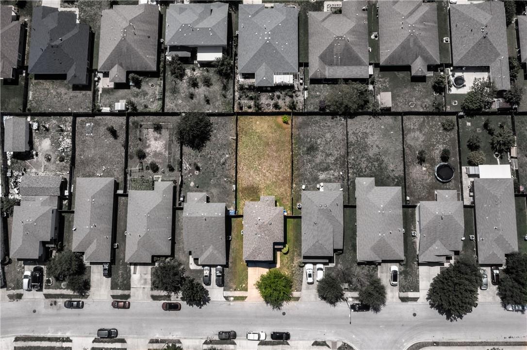 1505 Tea Leaf Dr, Pflugerville, TX 78660