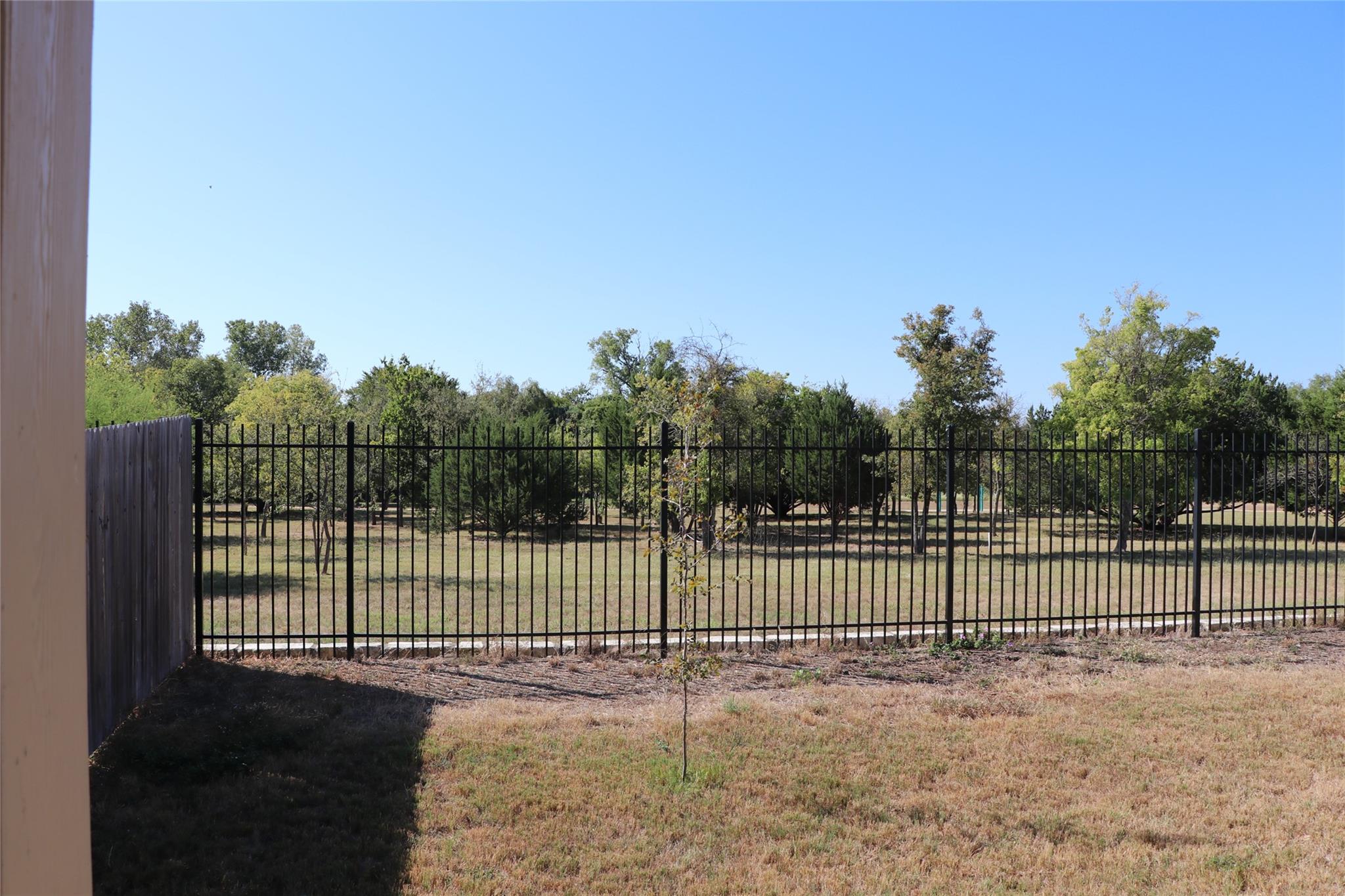 321 Parrot Tulip Vw, Pflugerville, TX 78660