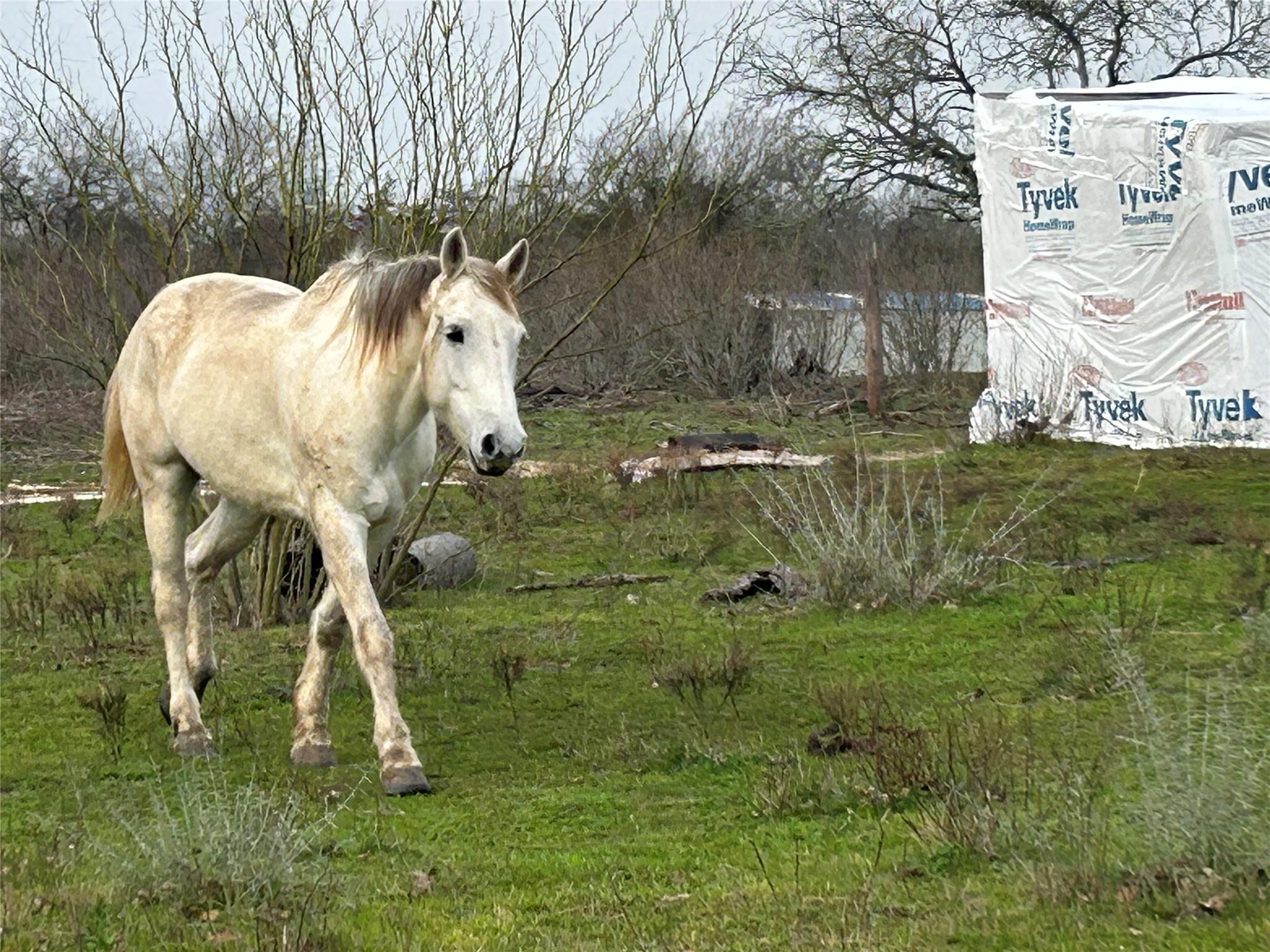 1340 Pettytown Rd, Dale, TX 78616