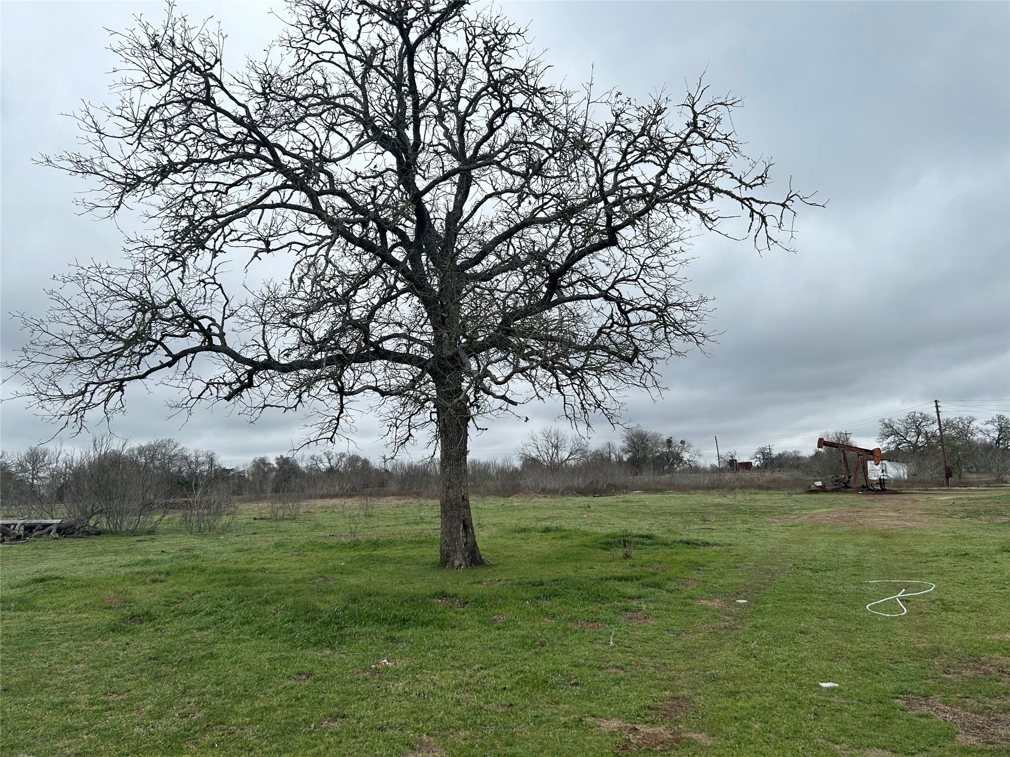 1340 Pettytown Rd, Dale, TX 78616