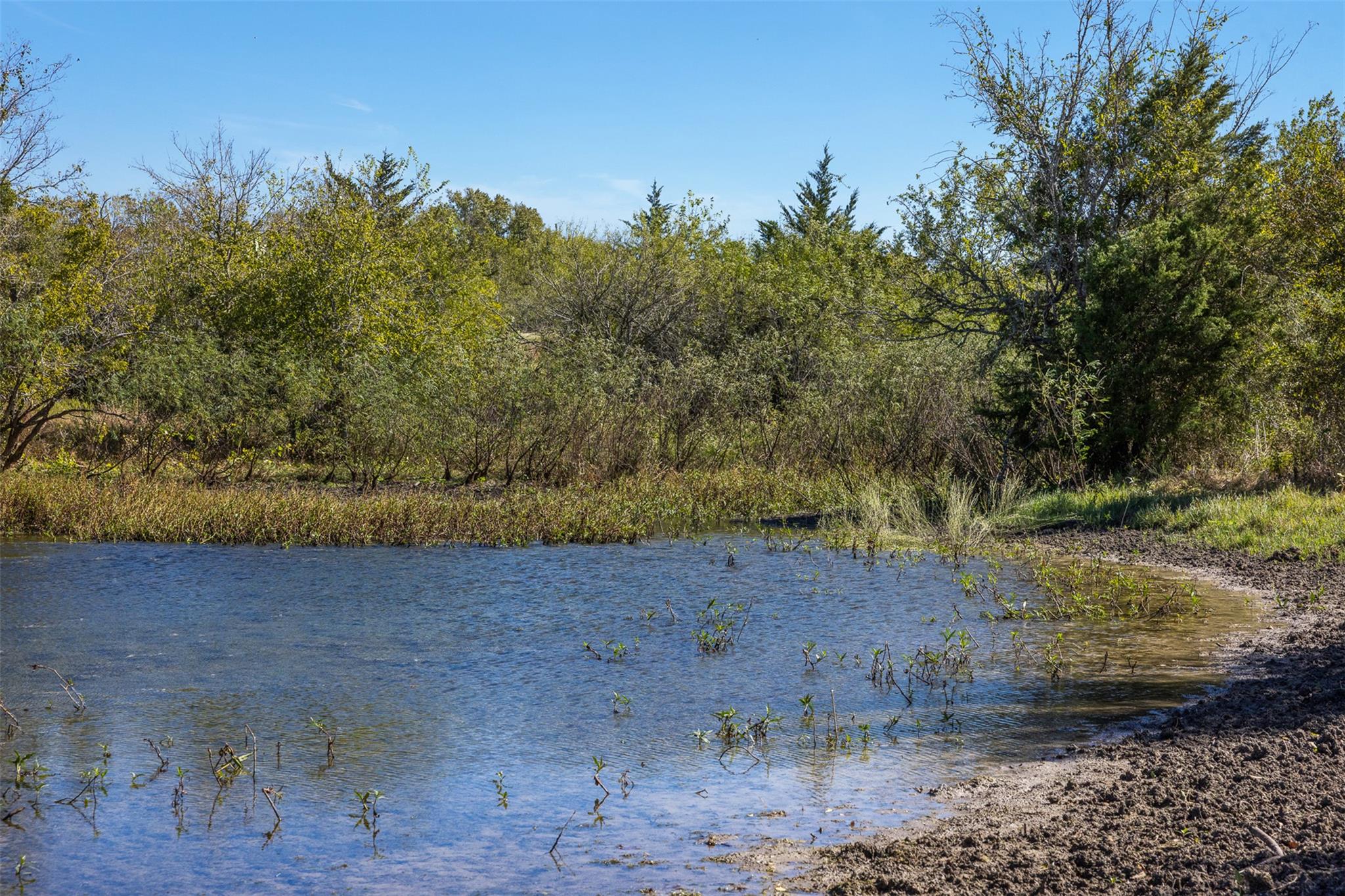 TBD Kylesgate Ln, La Grange, TX 78945