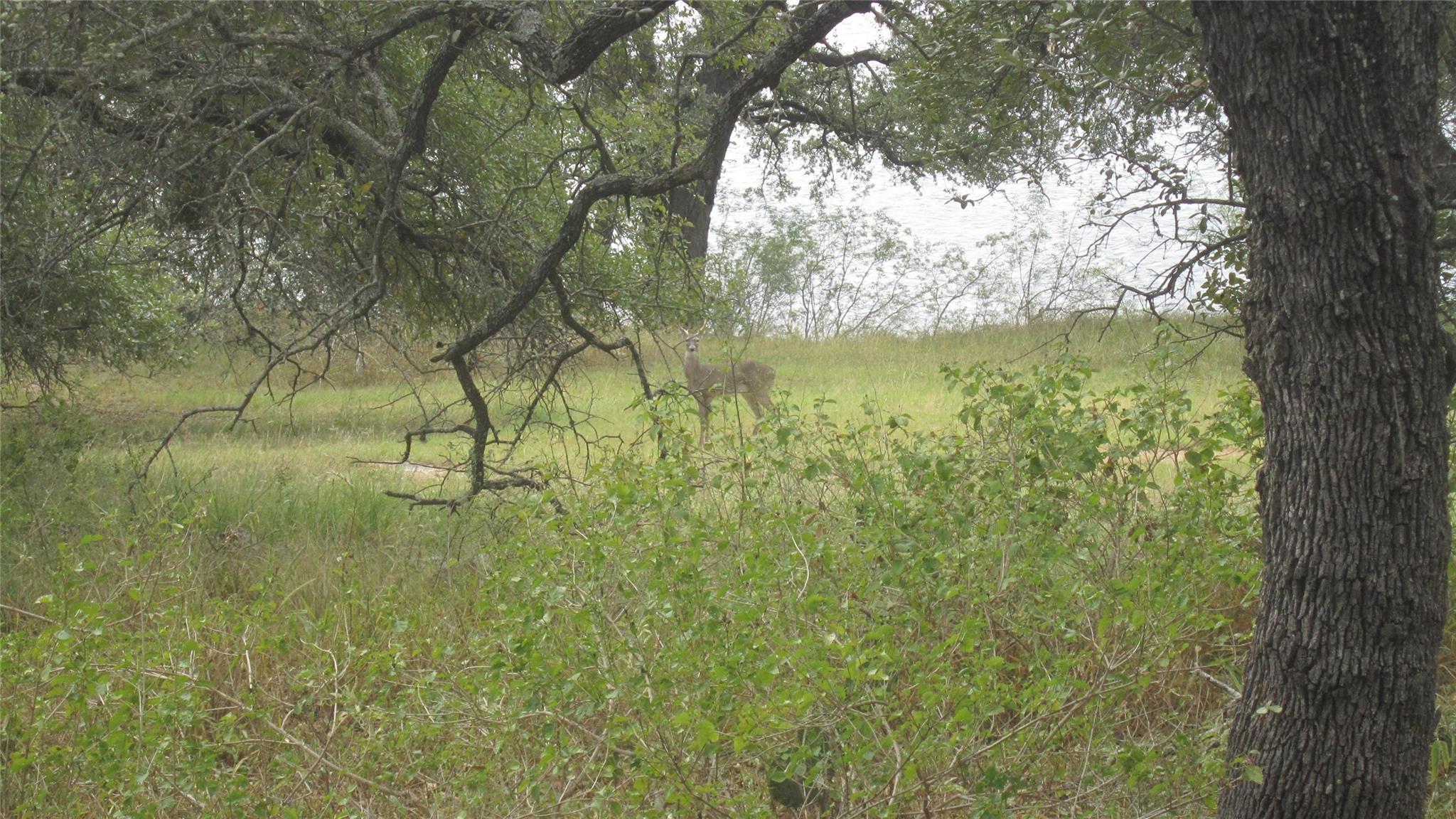 24205 Pedernales Dr, Spicewood, TX 78669