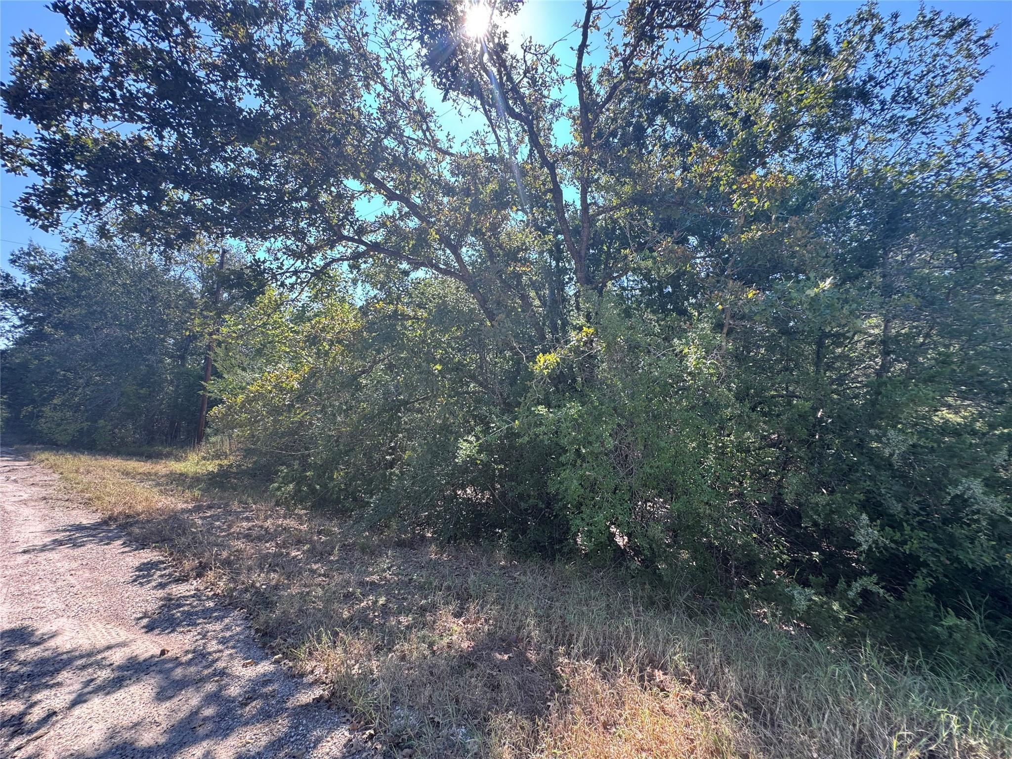 Tract 1 S Berry Rdg, Caldwell, TX 77836