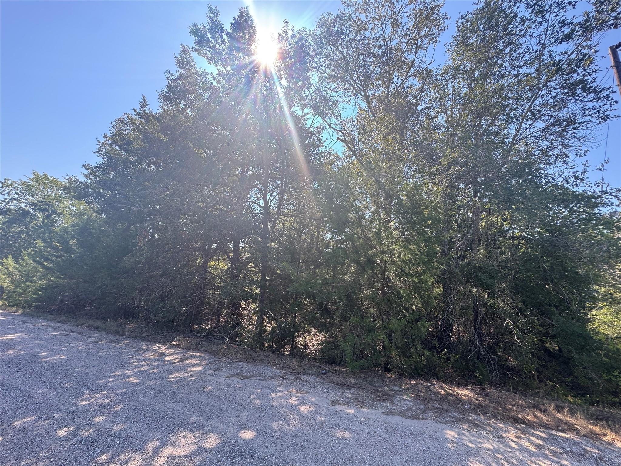 Tract 1 S Berry Rdg, Caldwell, TX 77836