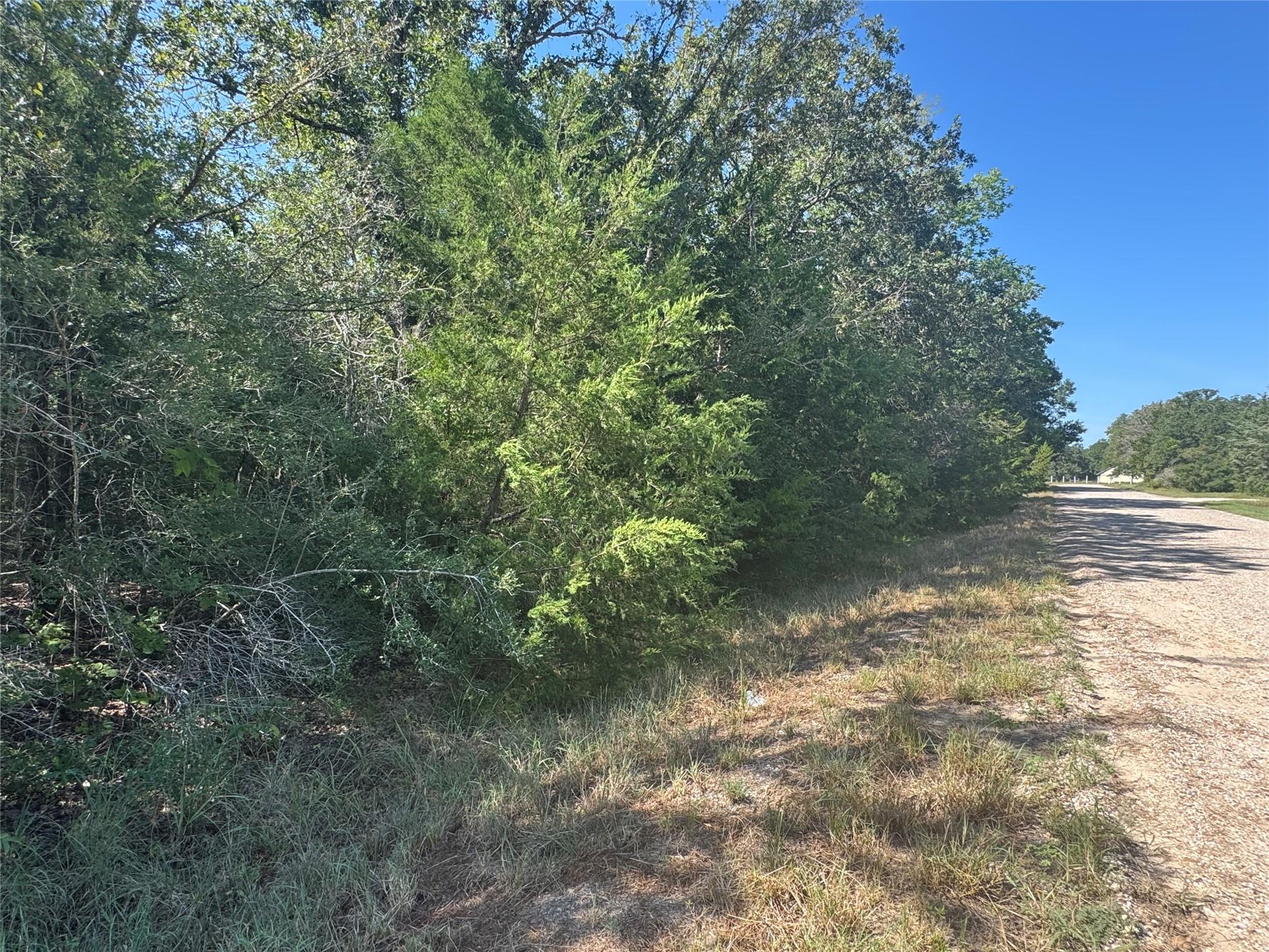 Tract 1 S Berry Rdg, Caldwell, TX 77836