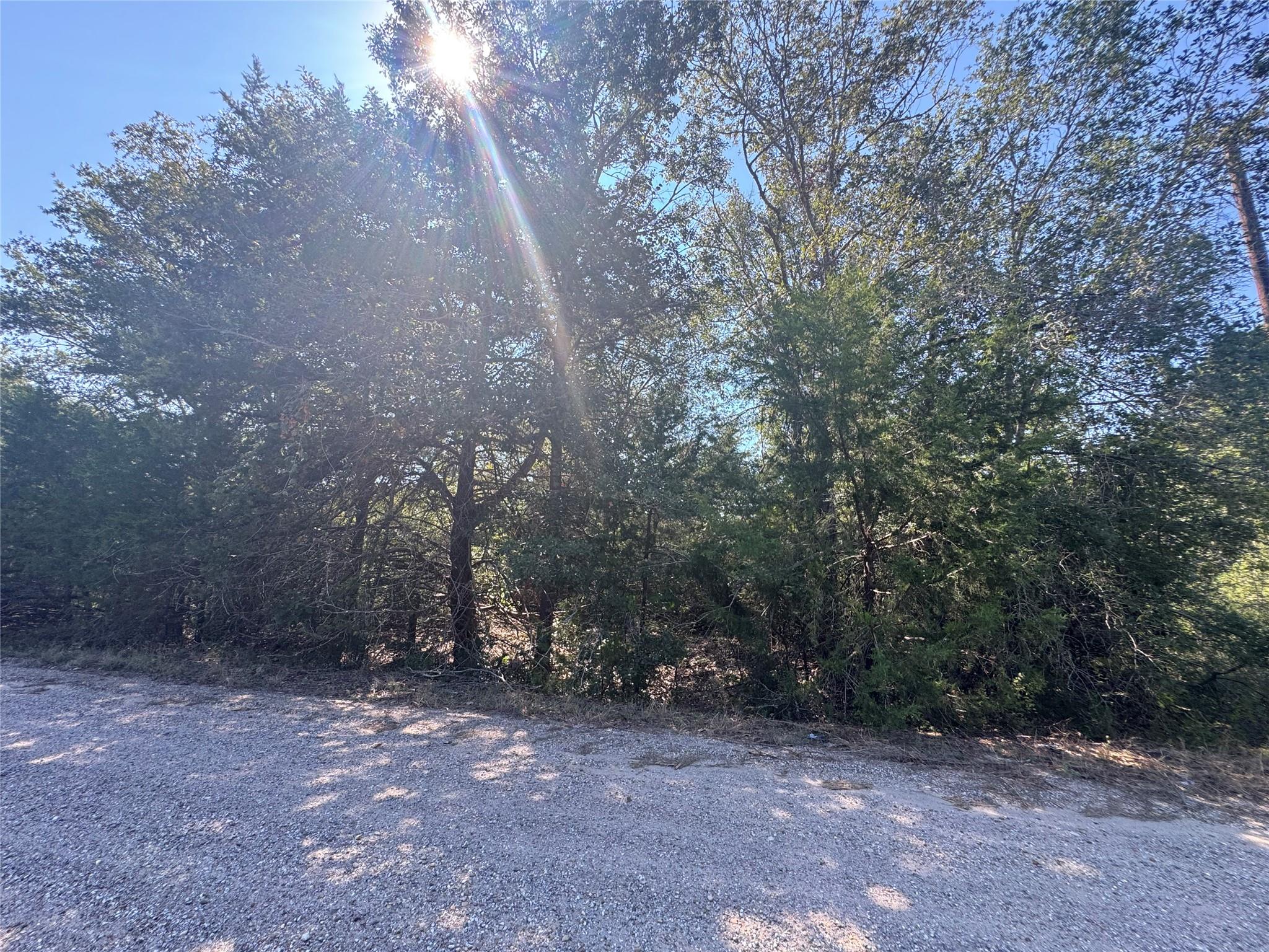 Tract 1 S Berry Rdg, Caldwell, TX 77836