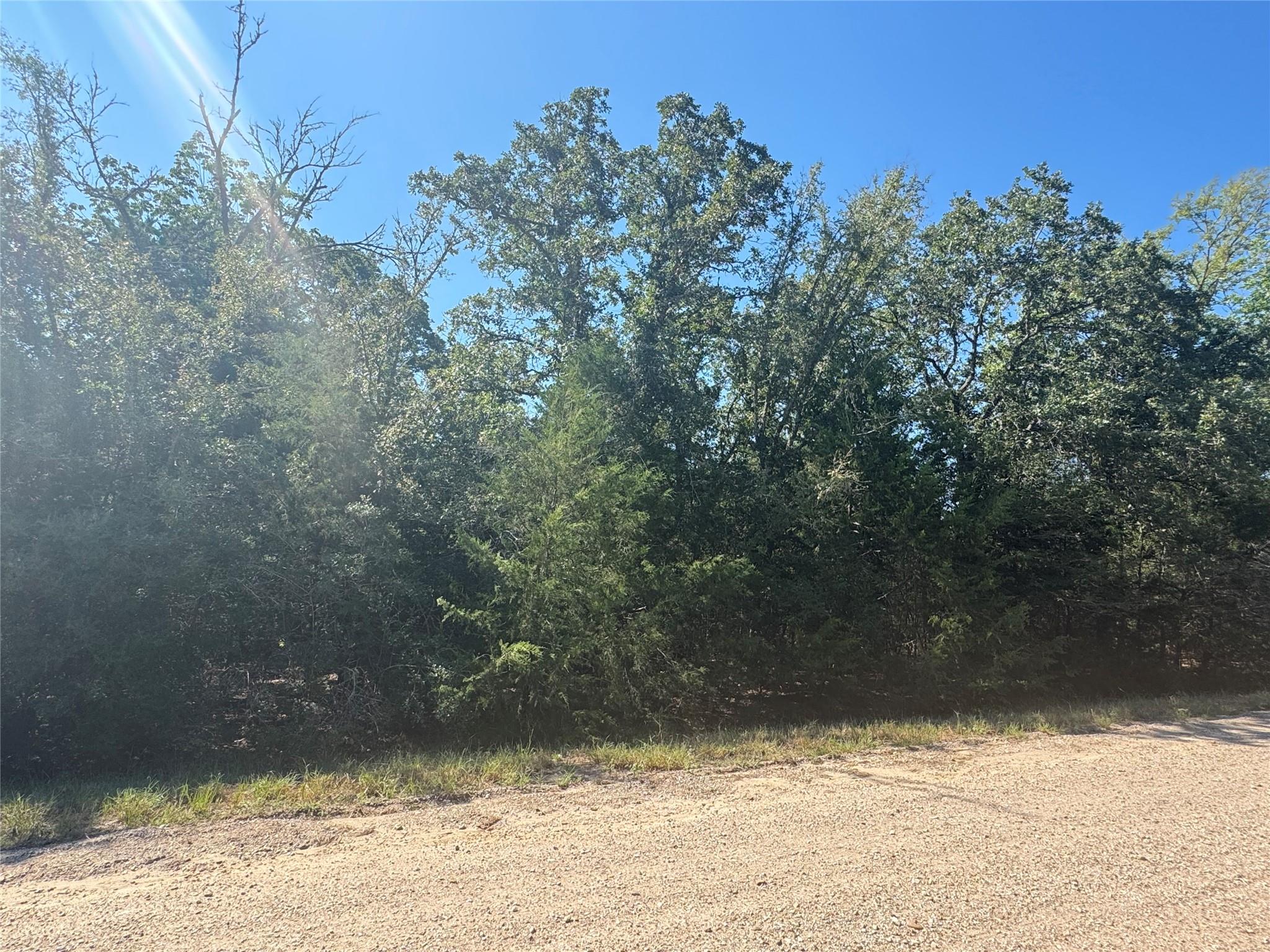 Tract 1 S Berry Rdg, Caldwell, TX 77836