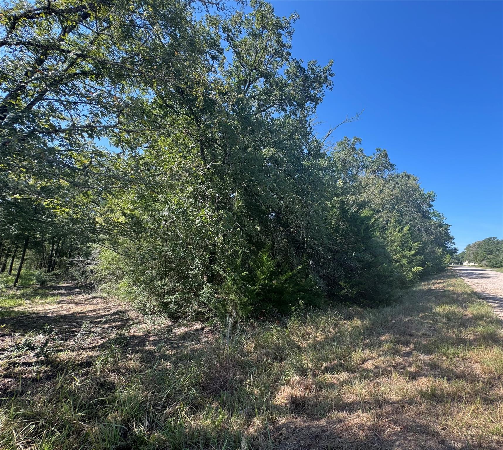 Tract 1 S Berry Rdg, Caldwell, TX 77836