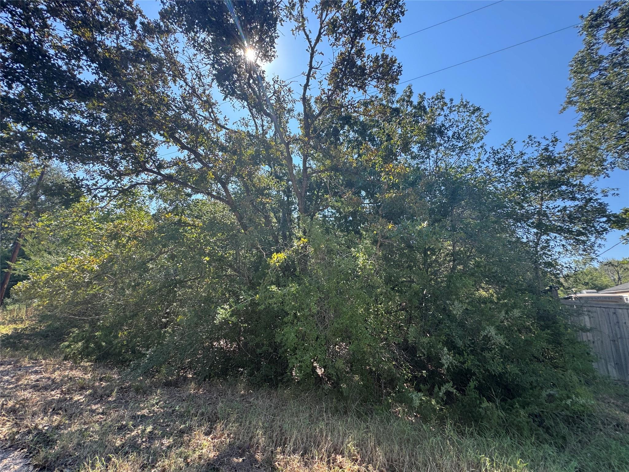 Tract 1 S Berry Rdg, Caldwell, TX 77836