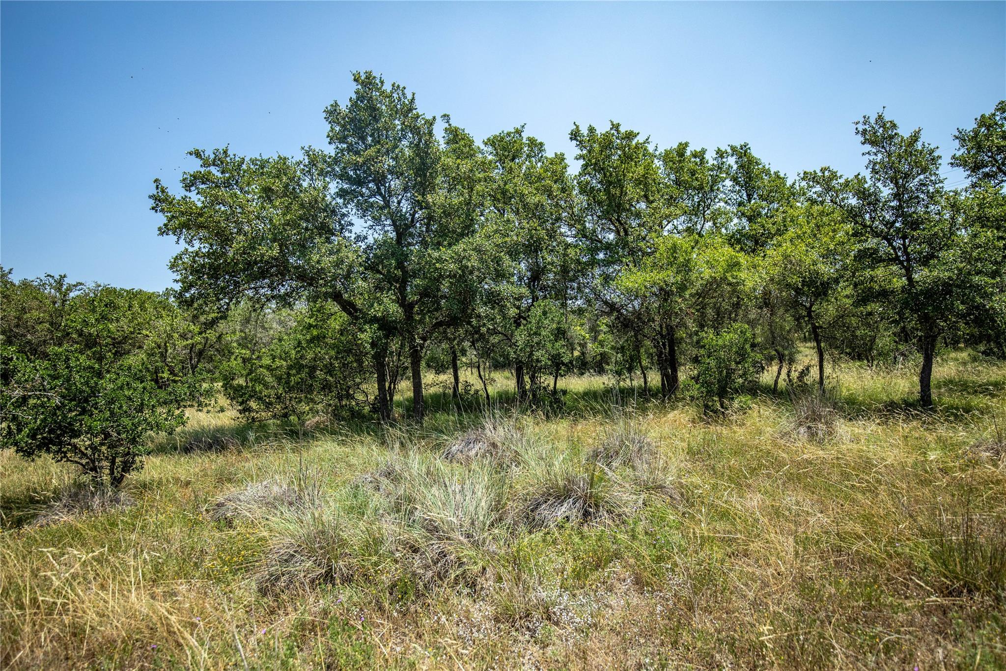 137 Steel Creek Crst, Center Point, TX 78010