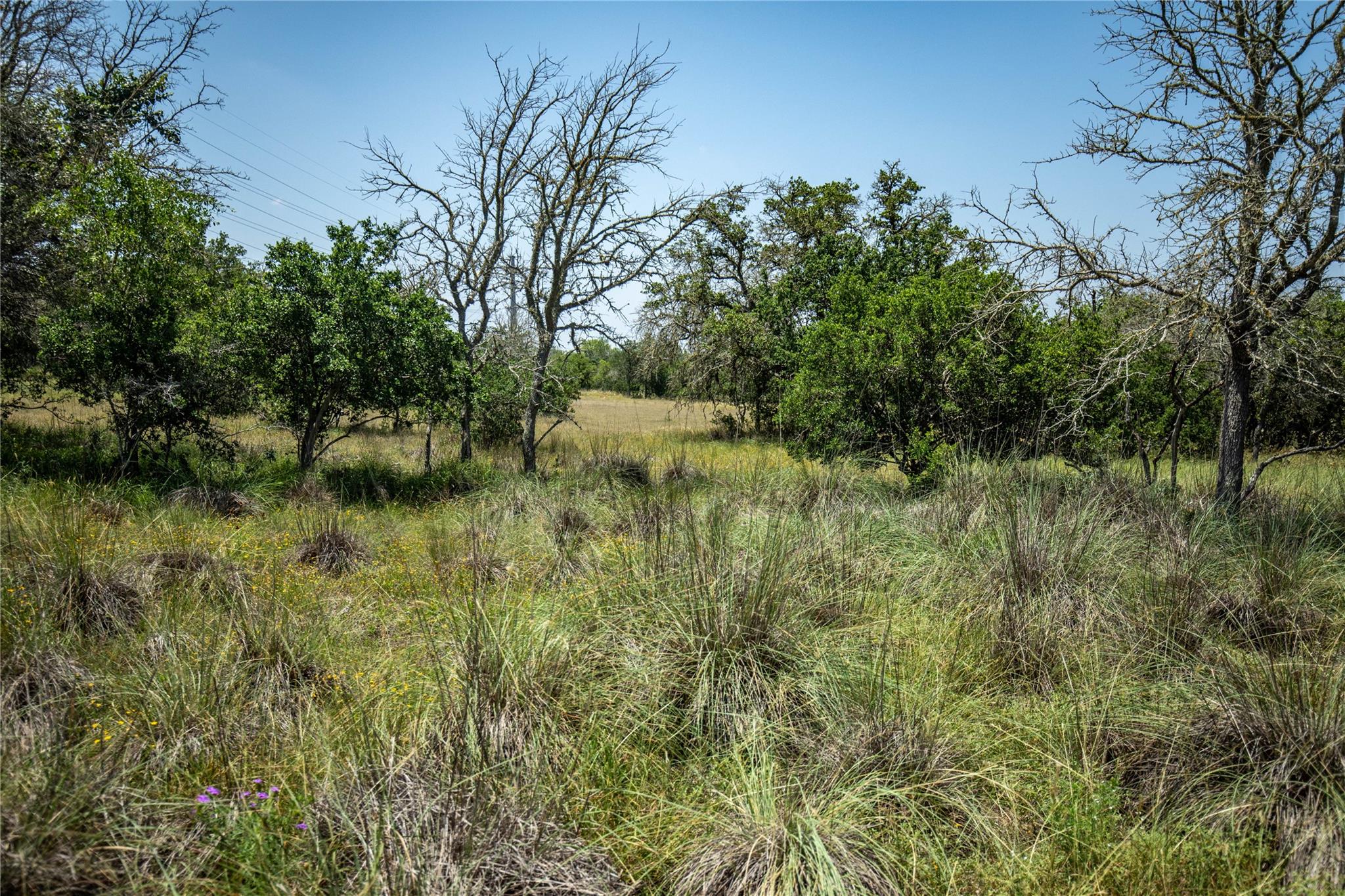 137 Steel Creek Crst, Center Point, TX 78010