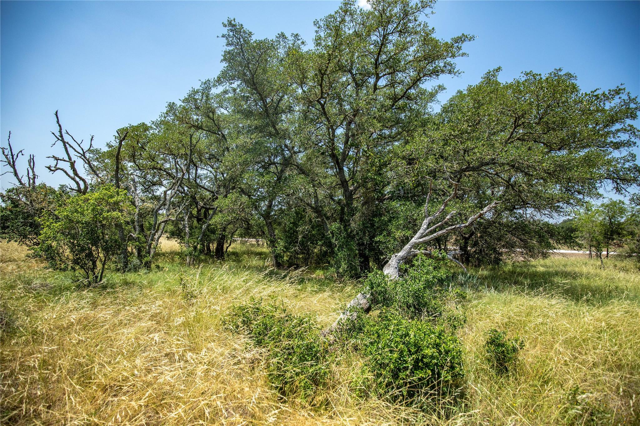 137 Steel Creek Crst, Center Point, TX 78010