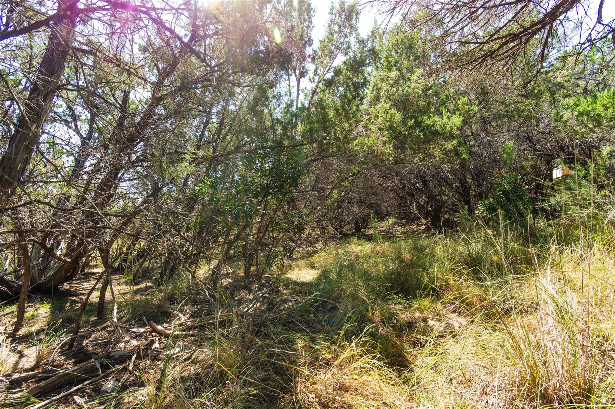 704 Palos Verdes Dr, Lakeway, TX 78734