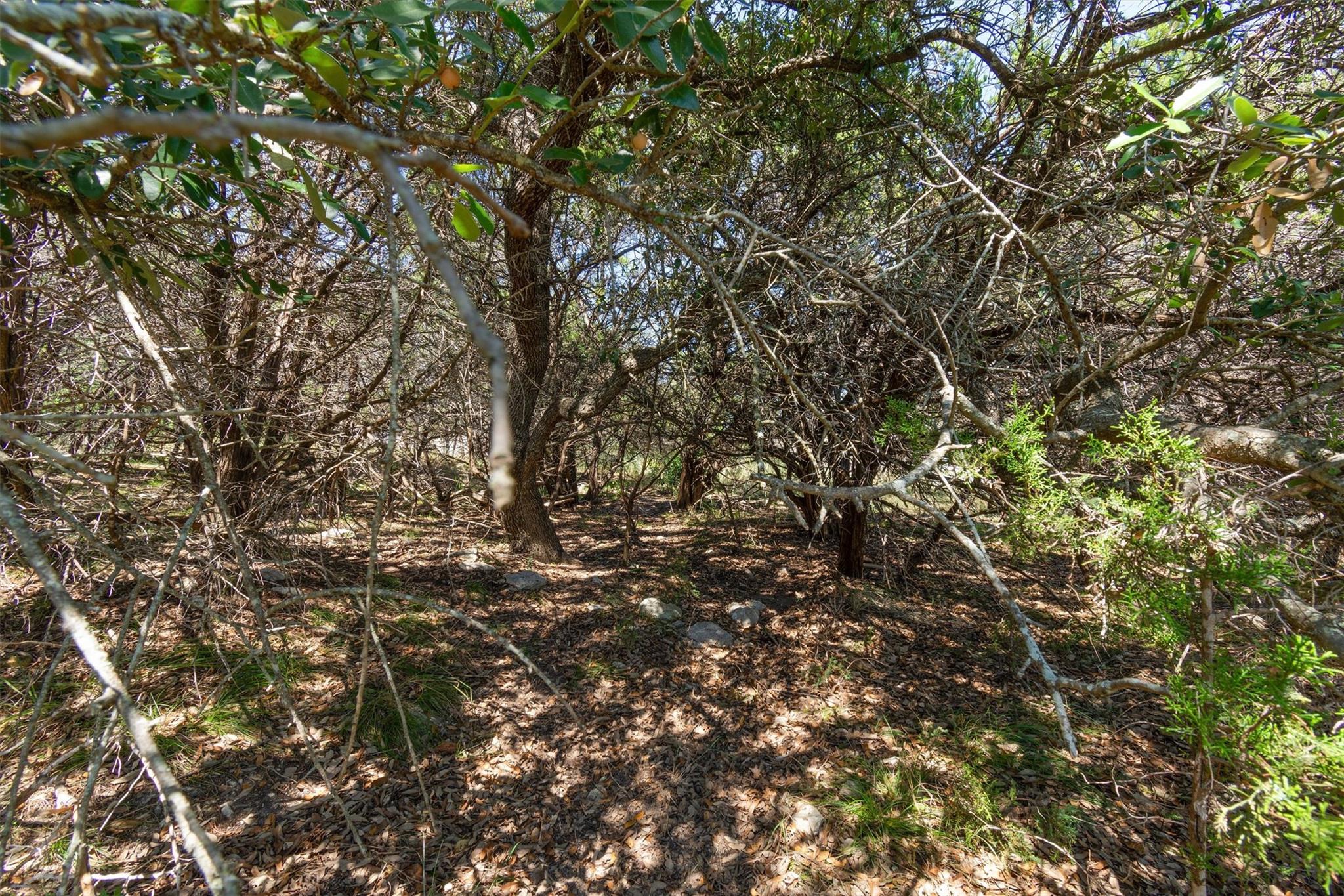 704 Palos Verdes Dr, Lakeway, TX 78734