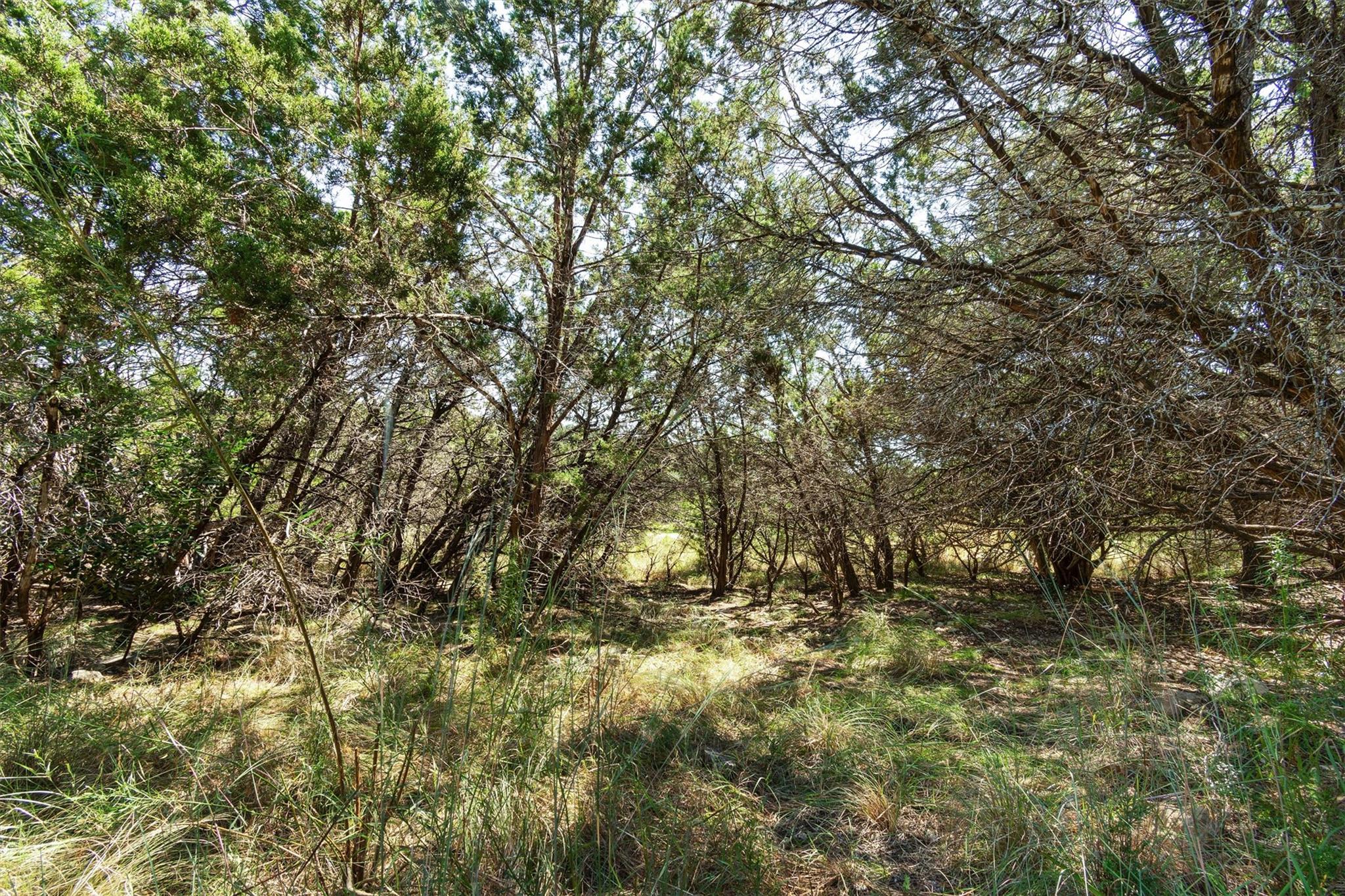 704 Palos Verdes Dr, Lakeway, TX 78734