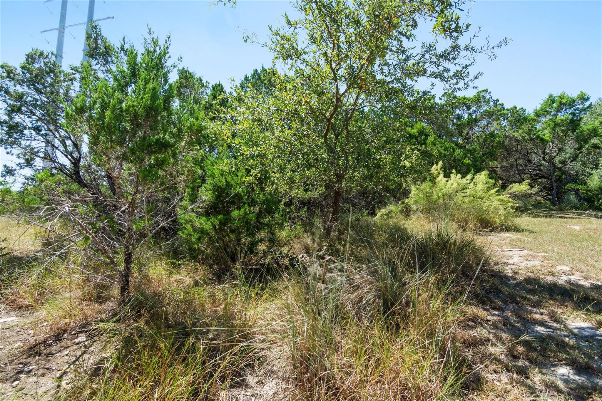 704 Palos Verdes Dr, Lakeway, TX 78734