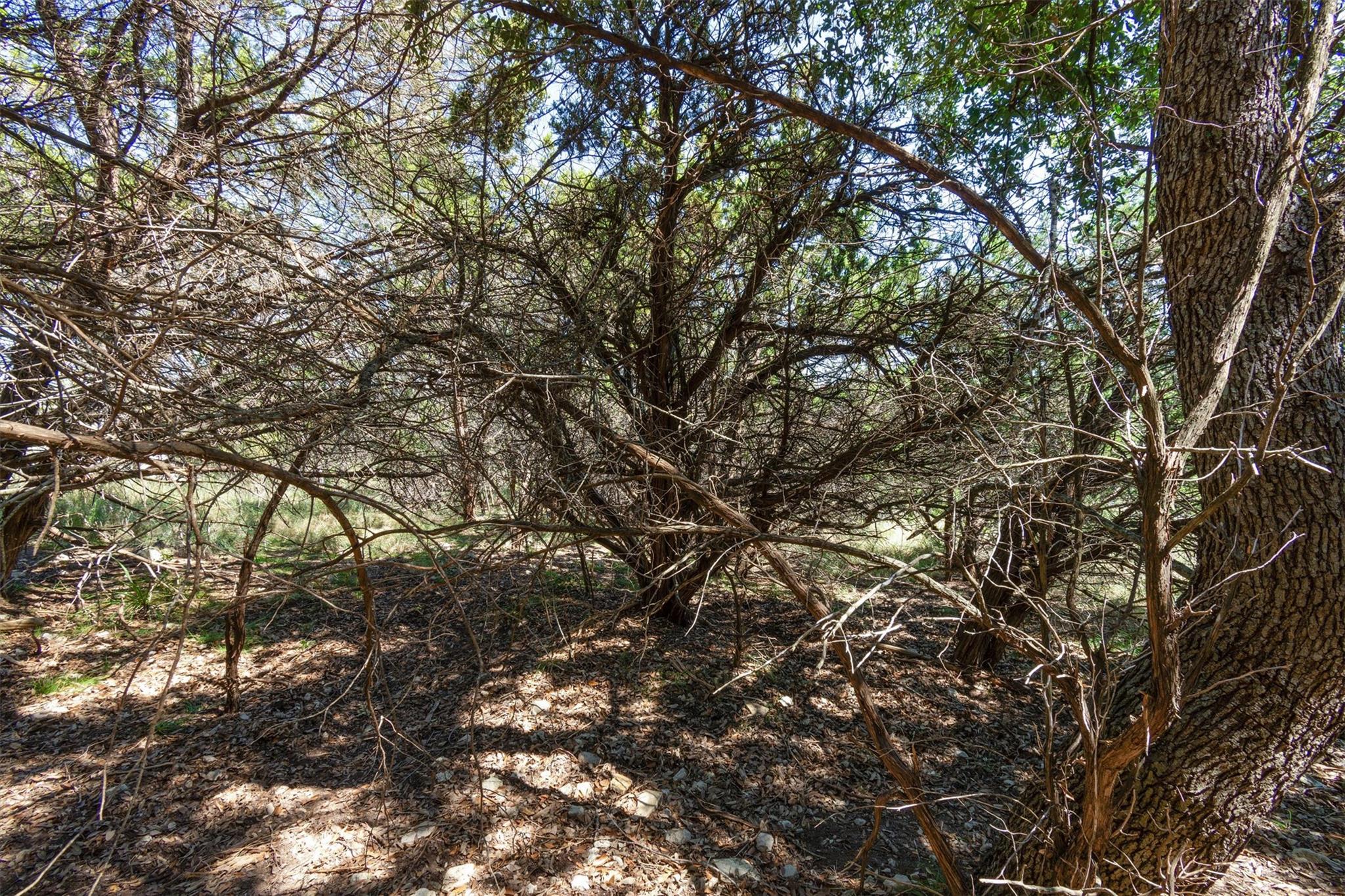 704 Palos Verdes Dr, Lakeway, TX 78734