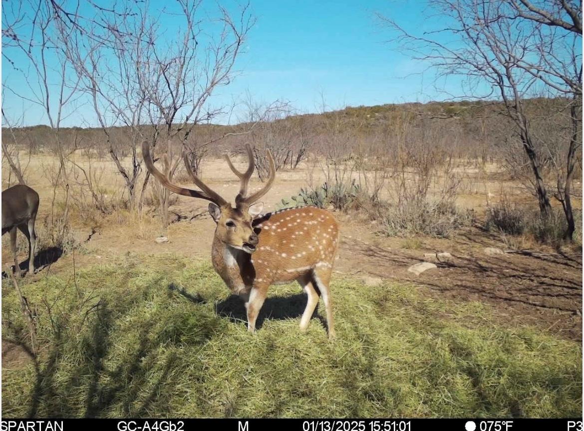 0 Sutton County Rd 406 Rd, Sonora, TX 76950