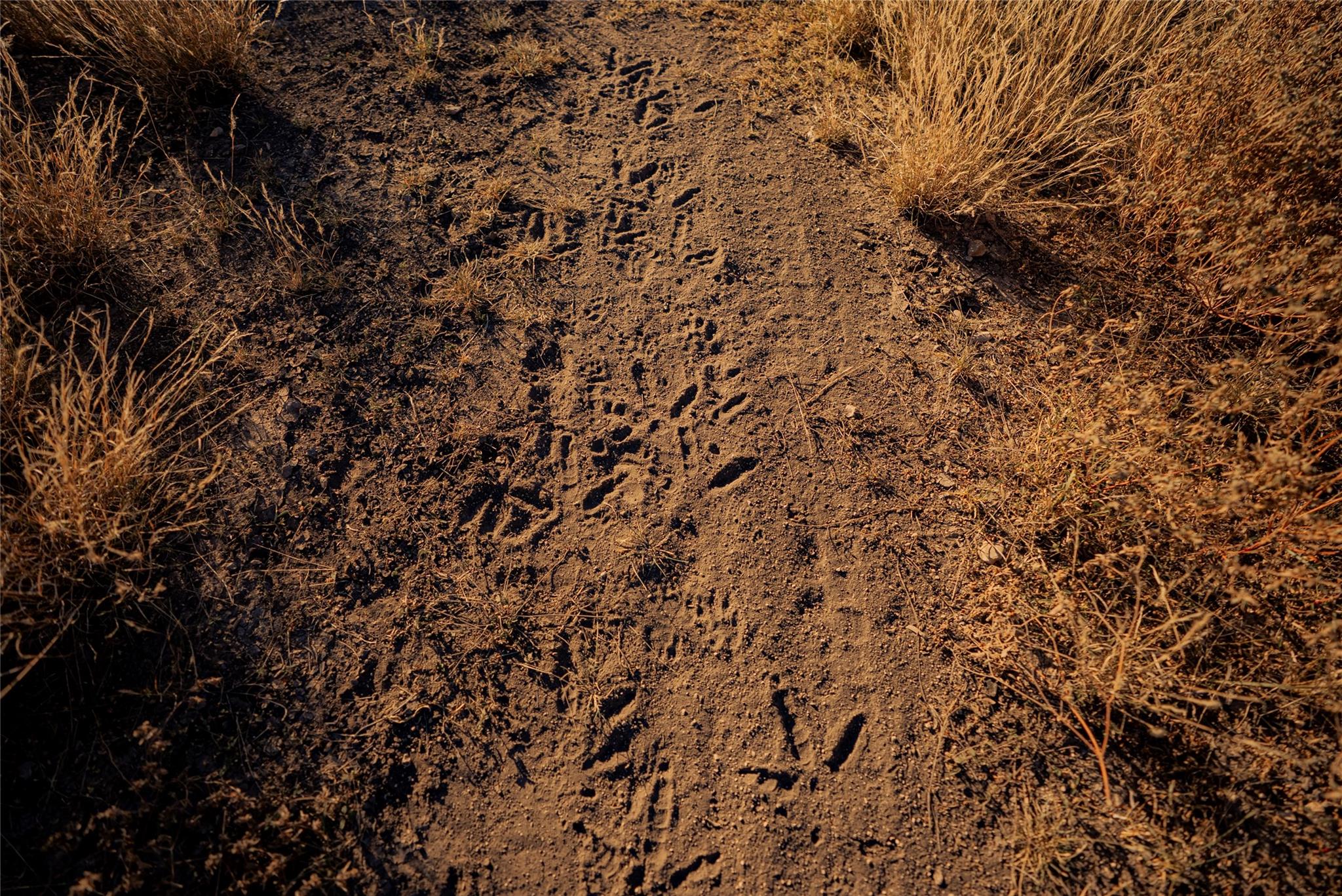 0 Sutton County Rd 406 Rd, Sonora, TX 76950