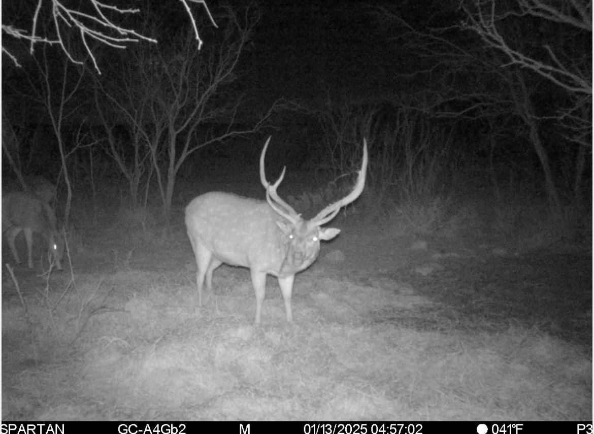 0 Sutton County Rd 406 Rd, Sonora, TX 76950