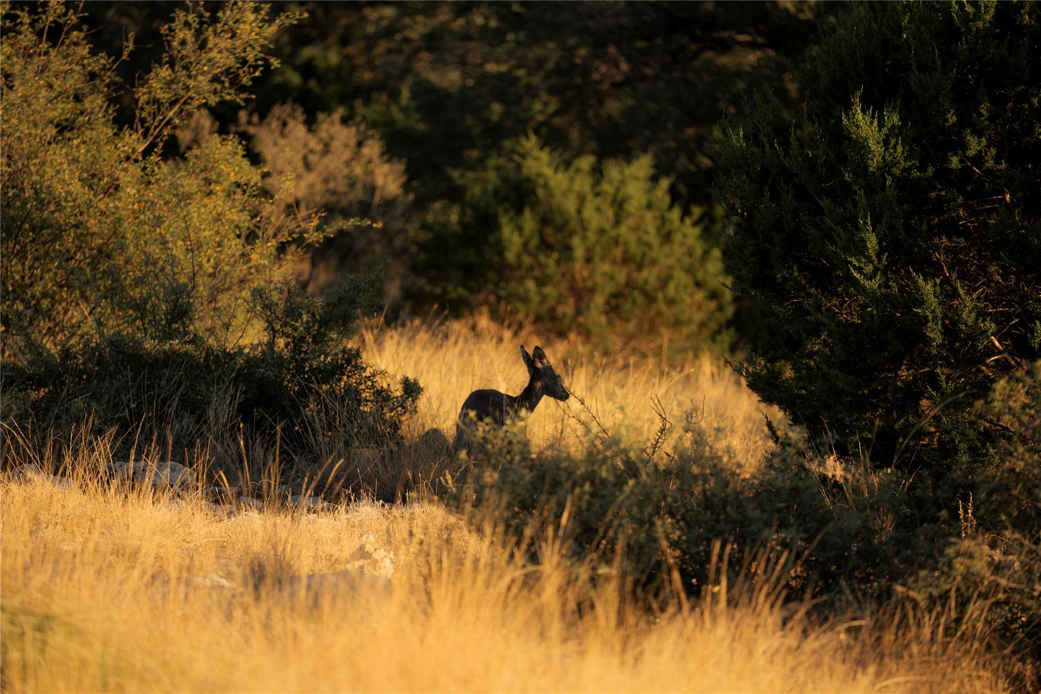 0 Sutton County Rd 406 Rd, Sonora, TX 76950