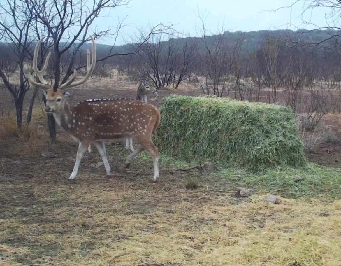 0 Sutton County Rd 406 Rd, Sonora, TX 76950