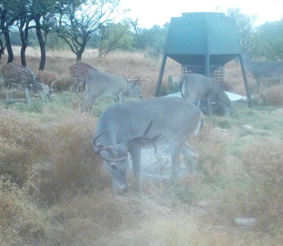 0 Sutton County Rd 406 Rd, Sonora, TX 76950