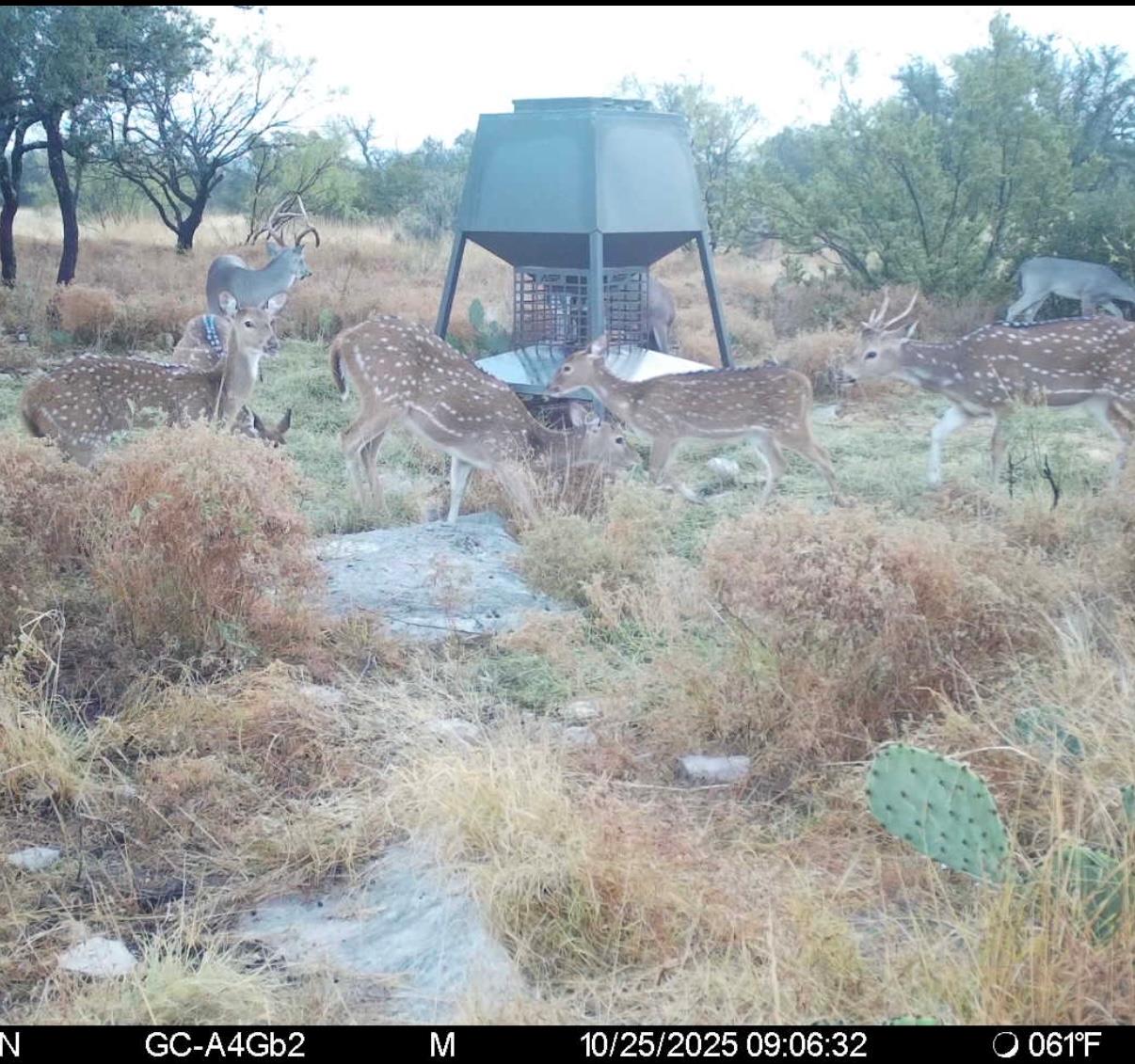 0 Sutton County Rd 406 Rd, Sonora, TX 76950