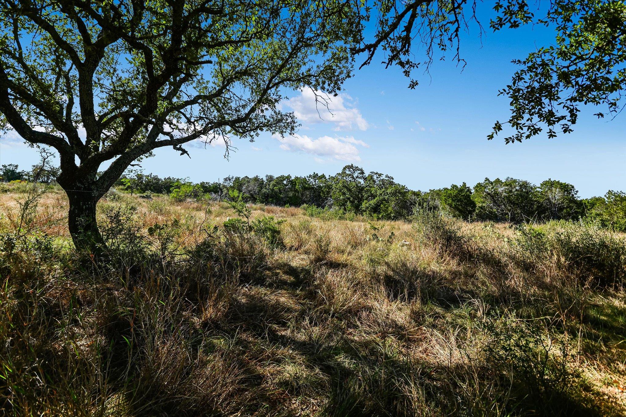 LOT 11 Crown Lane, Burnet, TX 78611