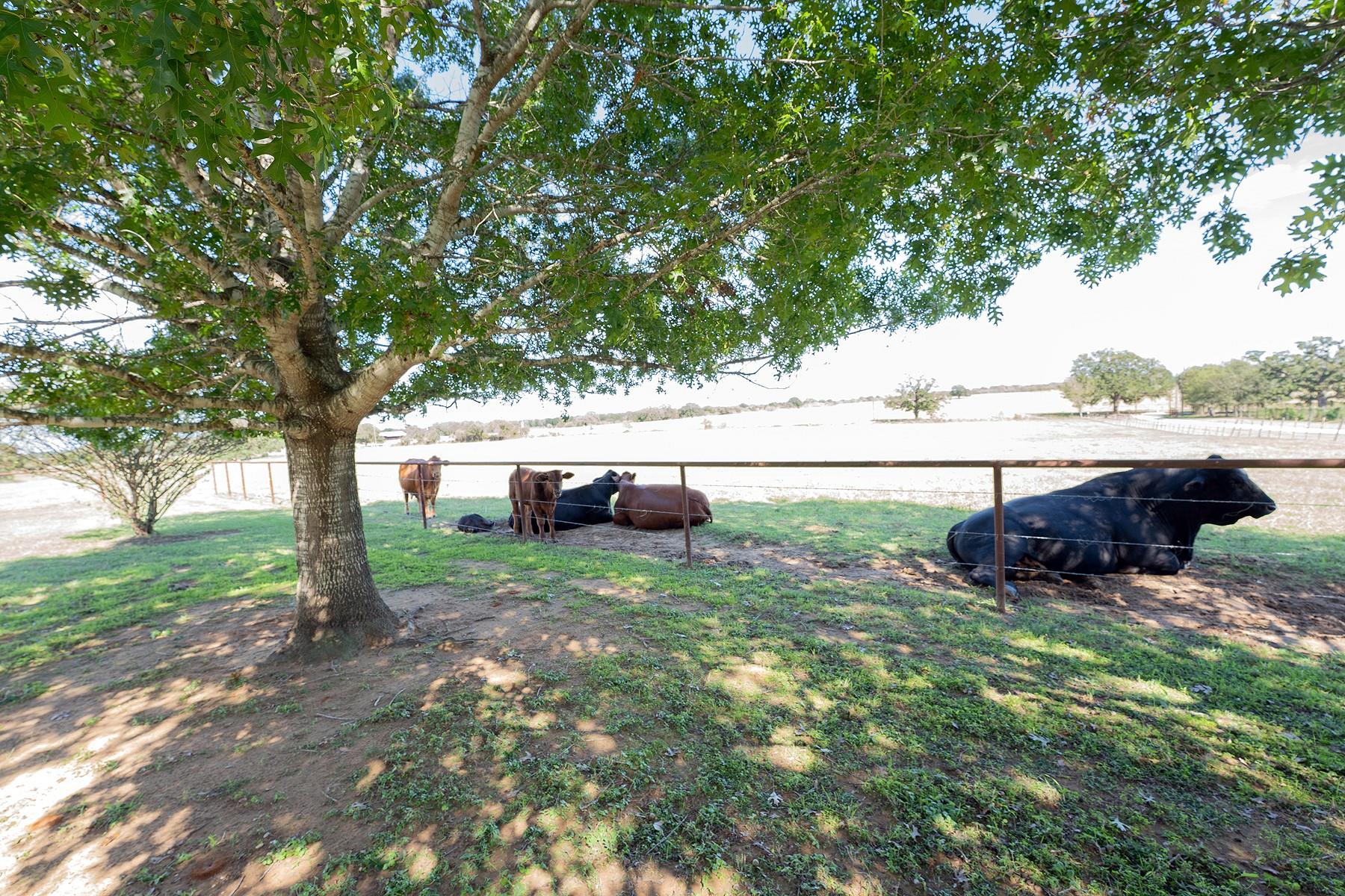 2542 Witter Rd, Lockhart, TX 78644