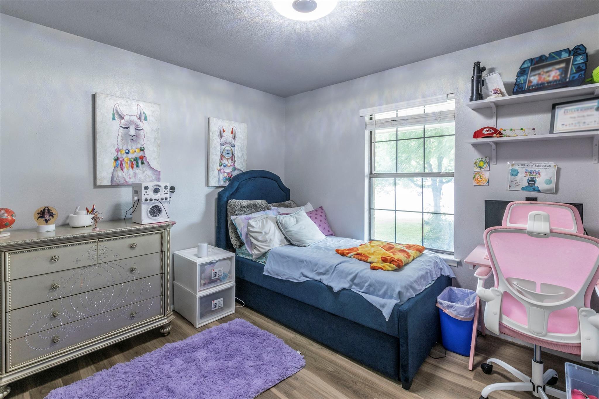 900 Lawnmont Dr, Round Rock, TX 78664