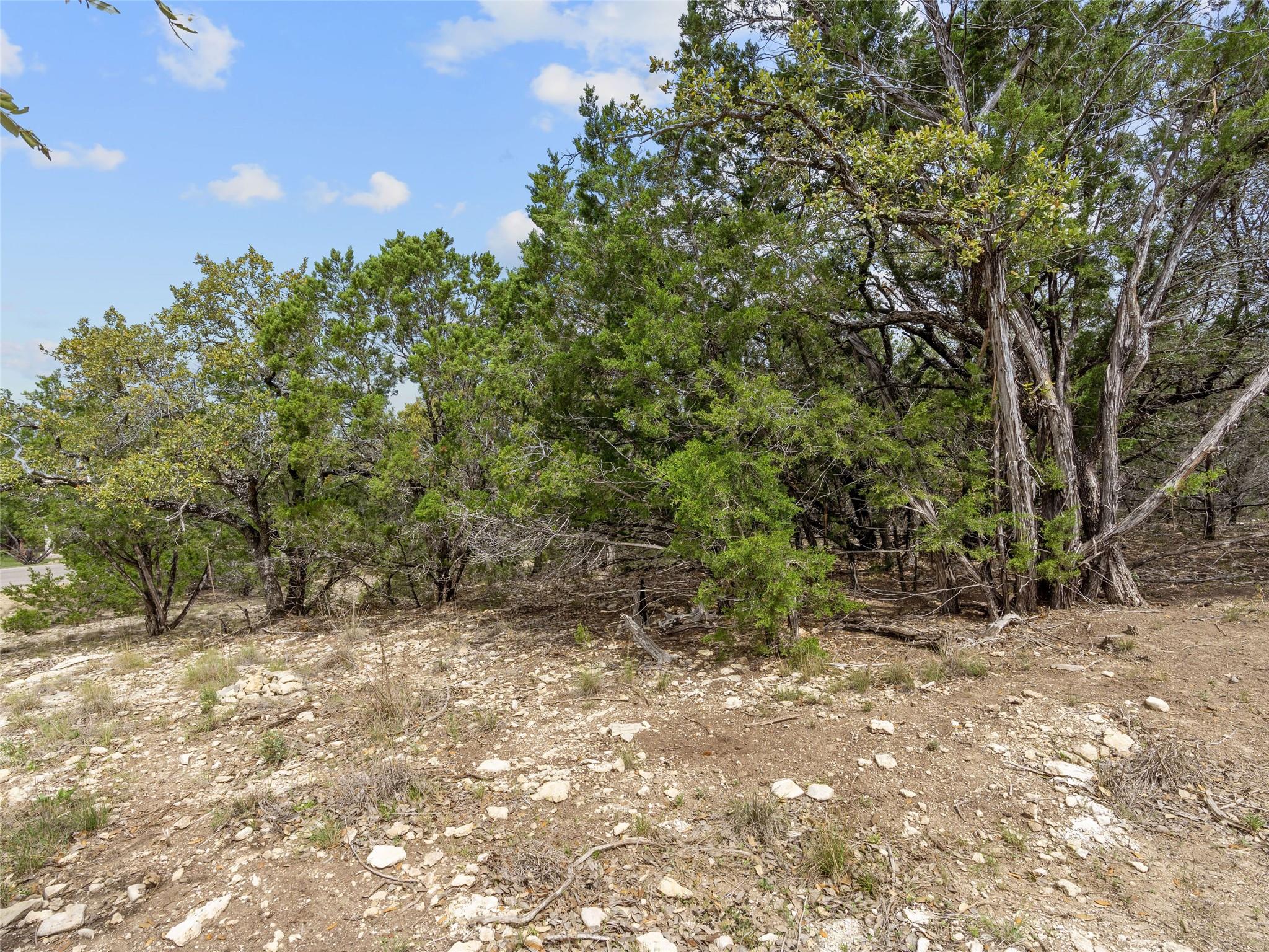 21509 Paine Ave, Lago Vista, TX 78645