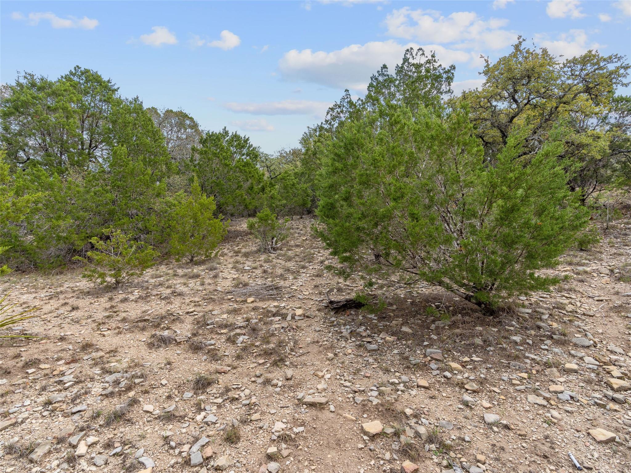 21509 Paine Ave, Lago Vista, TX 78645