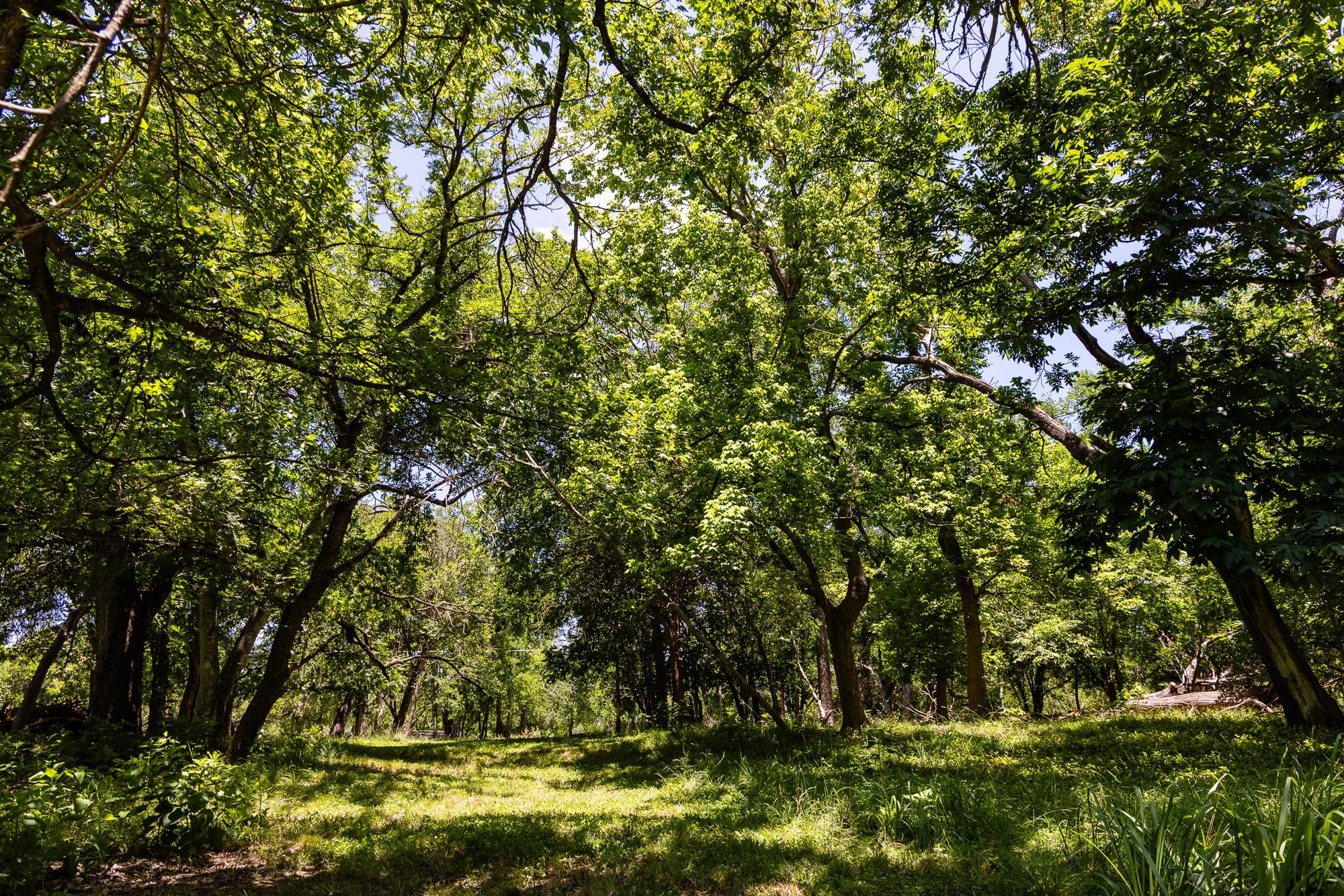 951 Cypress Creek Rd, Kerrville, TX 78028