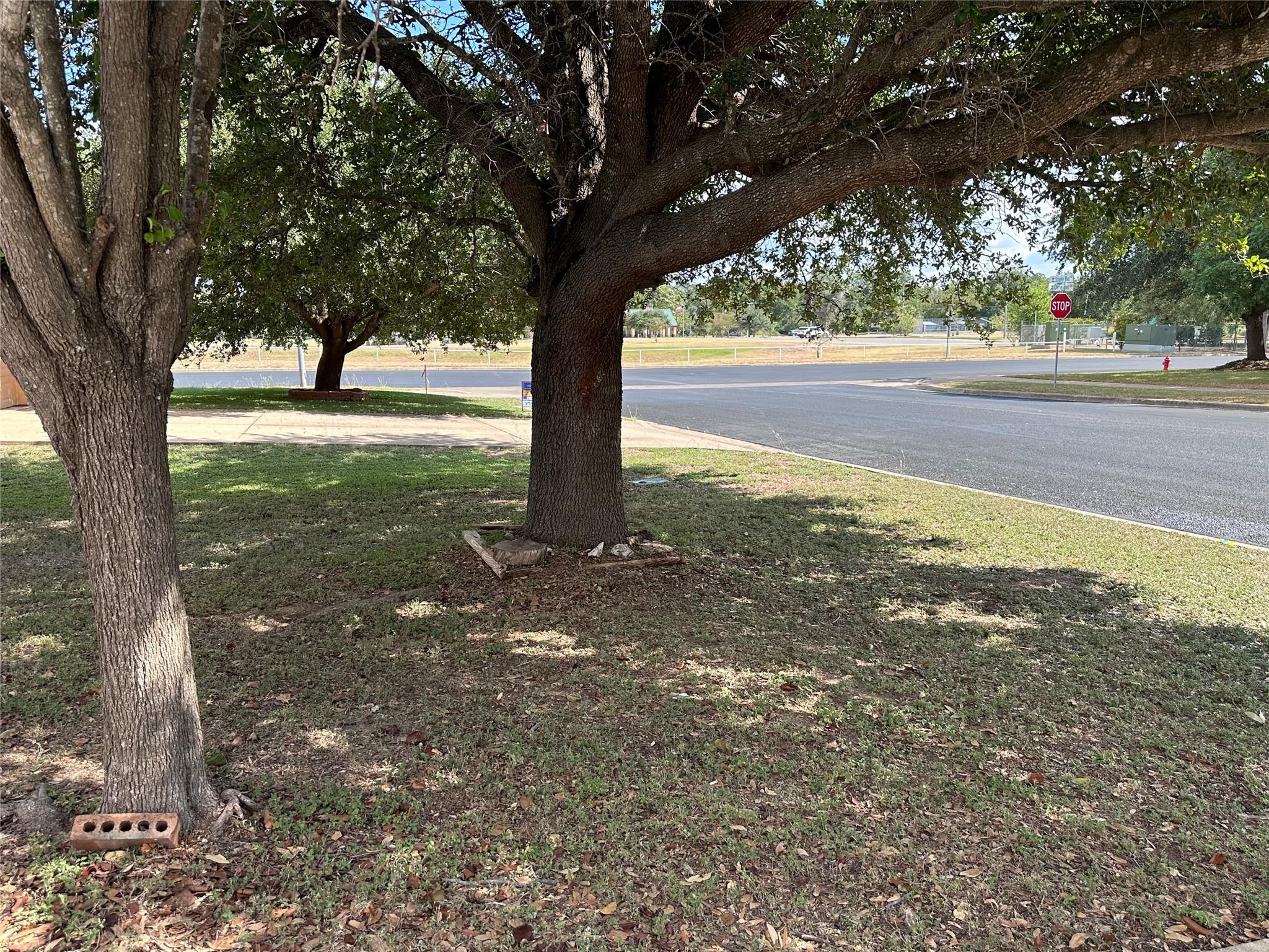 320 Schaefer Blvd, Bastrop, TX 78602