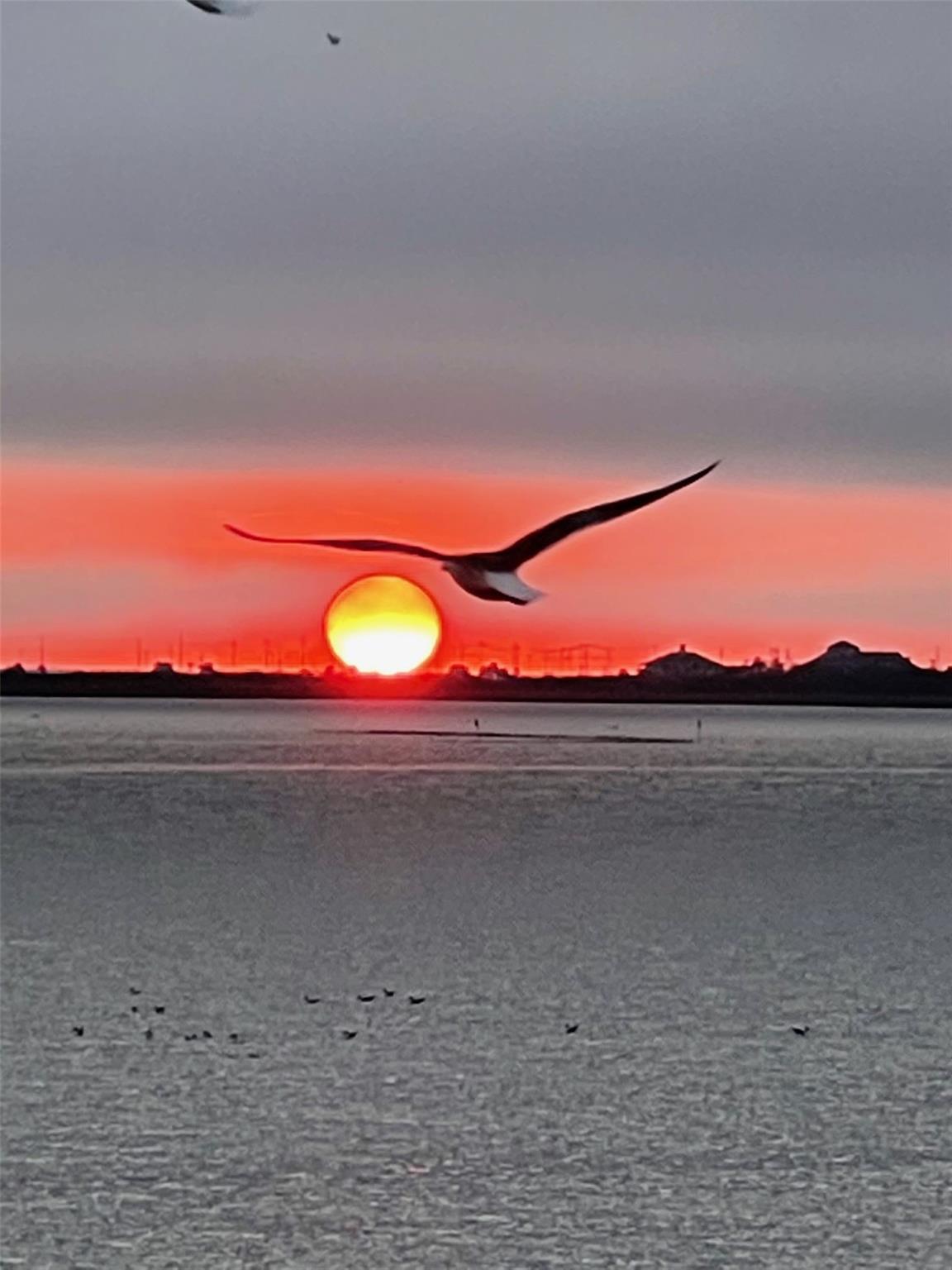 139 Isles End Rd, Galveston, TX 77554