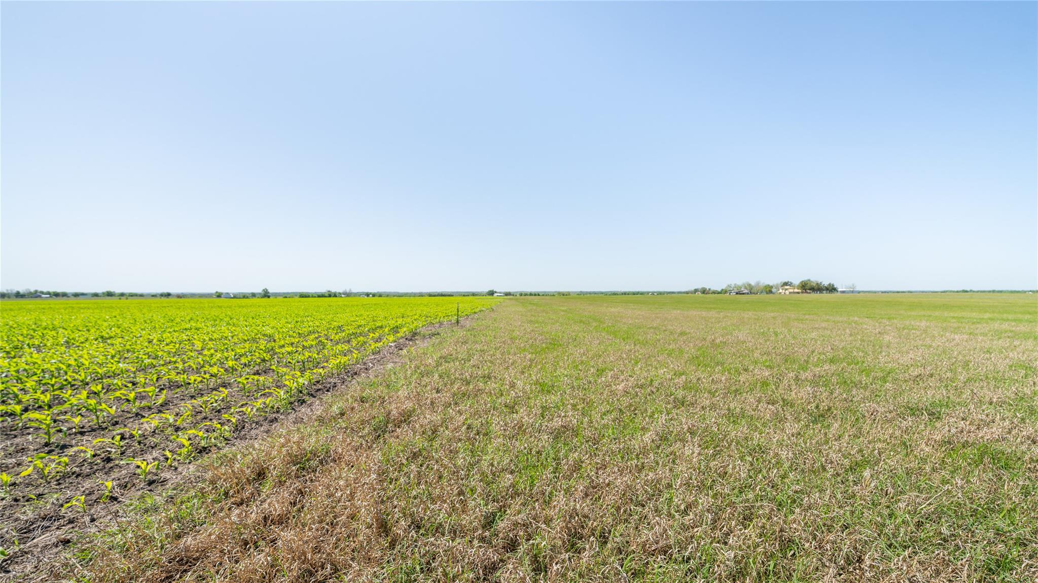 TBD-1 County Road 418, Thorndale, TX 76577