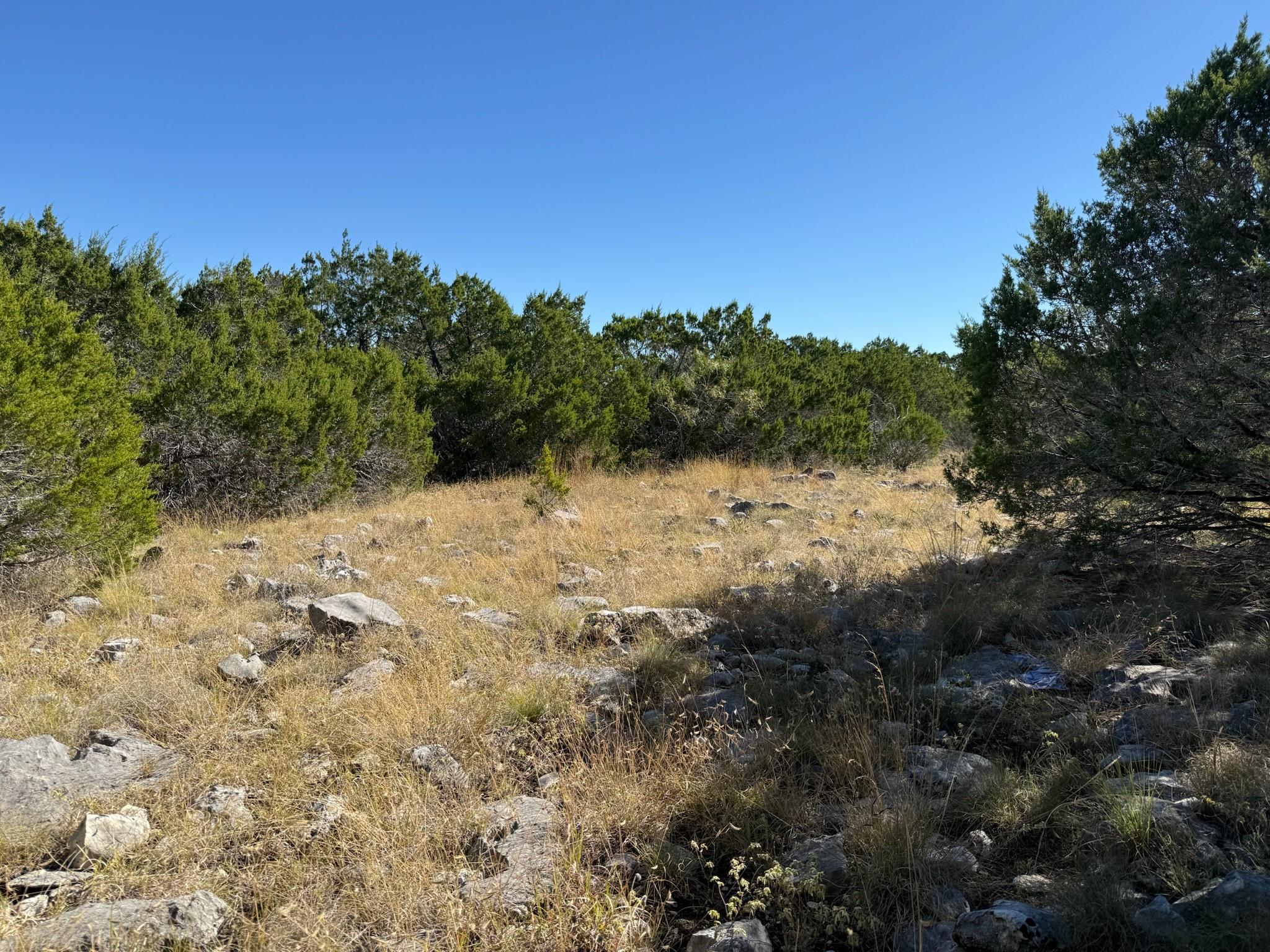 Lot 173 Suncrest Trl, Bertram, TX 78605