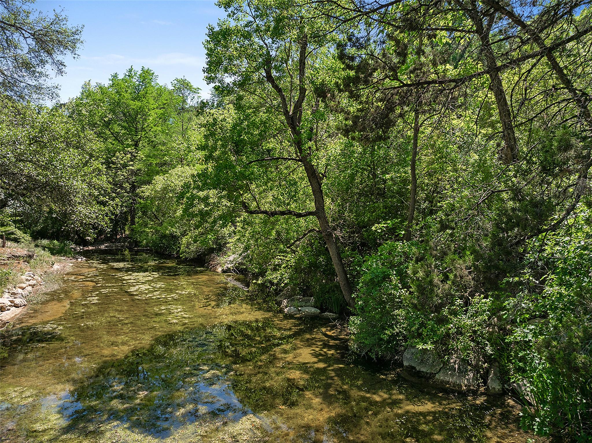 1 Shadybrook Cv, Austin, TX 78746