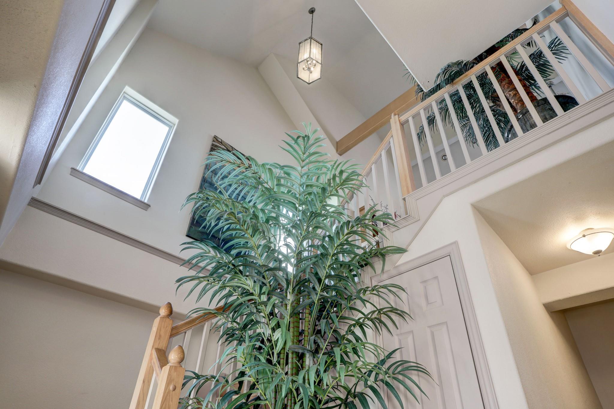 442 Jeanie Lynn St, Galveston, TX 77554