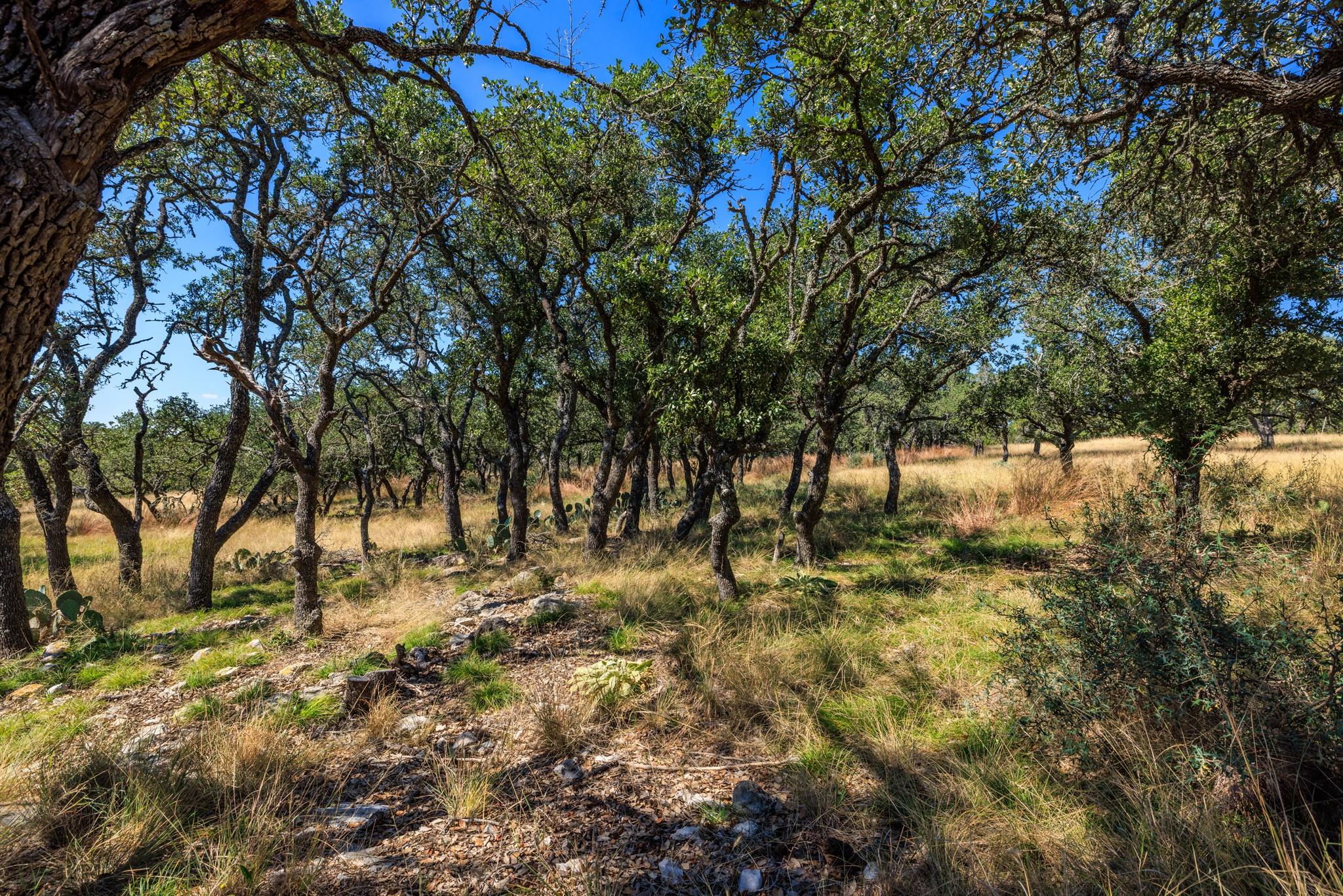Lot 10 N Laird Rd, Harper, TX 78631
