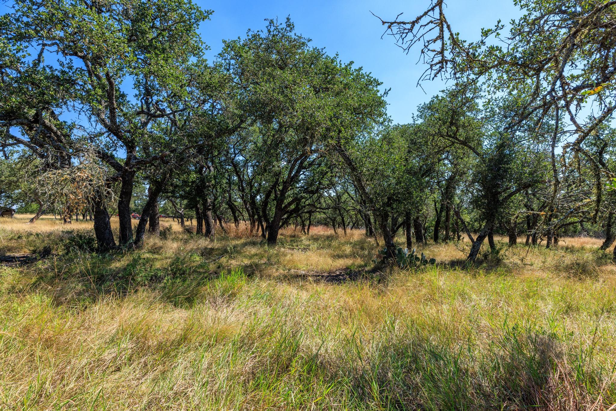 Lot 10 N Laird Rd, Harper, TX 78631